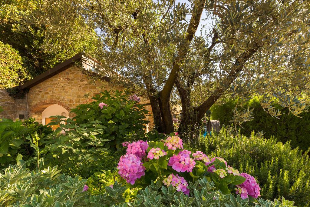 Podere Poggio Mendico Villa Arezzo Exterior photo